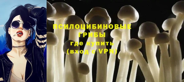 ПСИЛОЦИБИНОВЫЕ ГРИБЫ Навашино