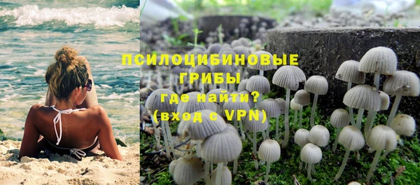 ПСИЛОЦИБИНОВЫЕ ГРИБЫ Навашино