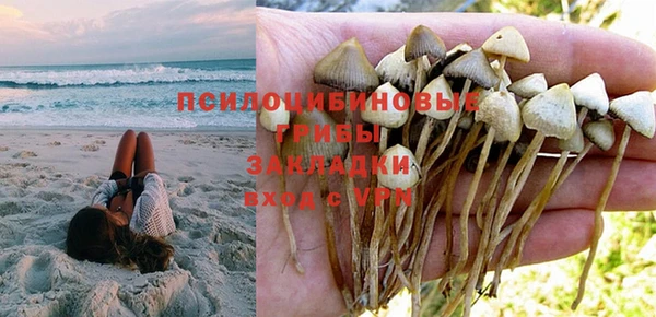 прущая мука Надым