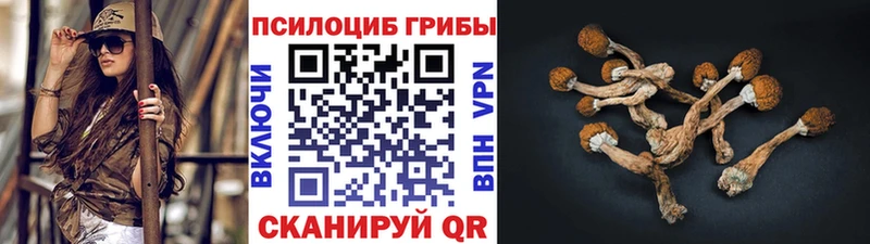 Псилоцибиновые грибы Magic Shrooms  Купить где  Лебедянь 